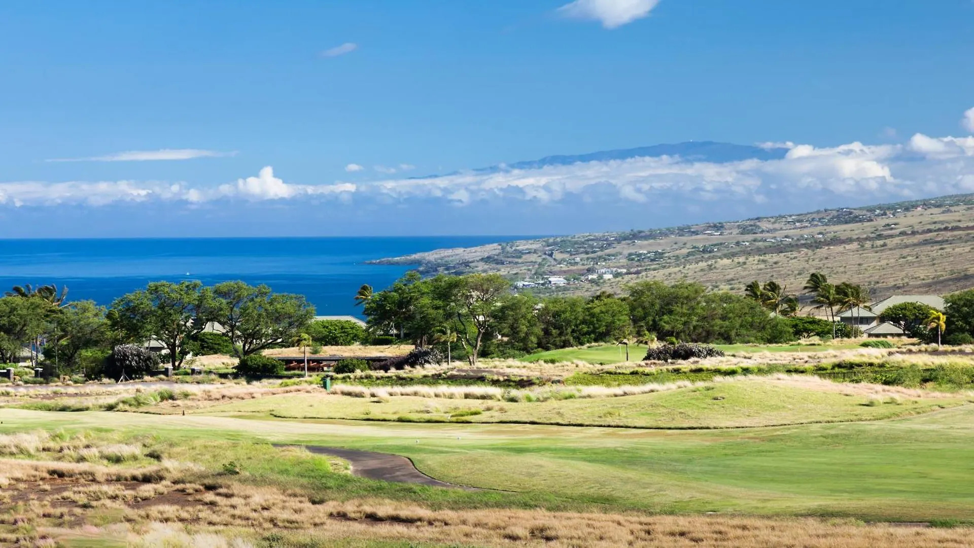 Blue Tranquility Luxurious Home In Private Community With Heated Private Pool Spa Detached Ohana Suite ワイメア 別荘