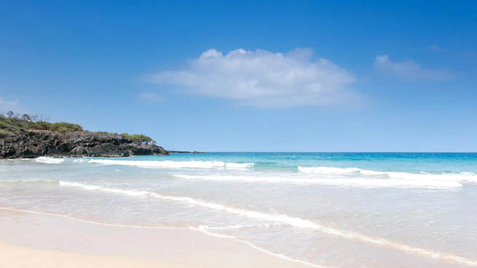 Hébergement de vacances Blue Tranquility Luxurious Home In Private Community With Heated Private Pool Spa Detached Ohana Suite Waimea  États-Unis